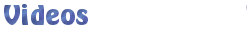 Video Archive